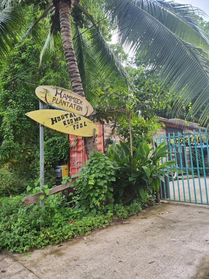 Хостел Hammock Plantation Ель-Зонте Екстер'єр фото