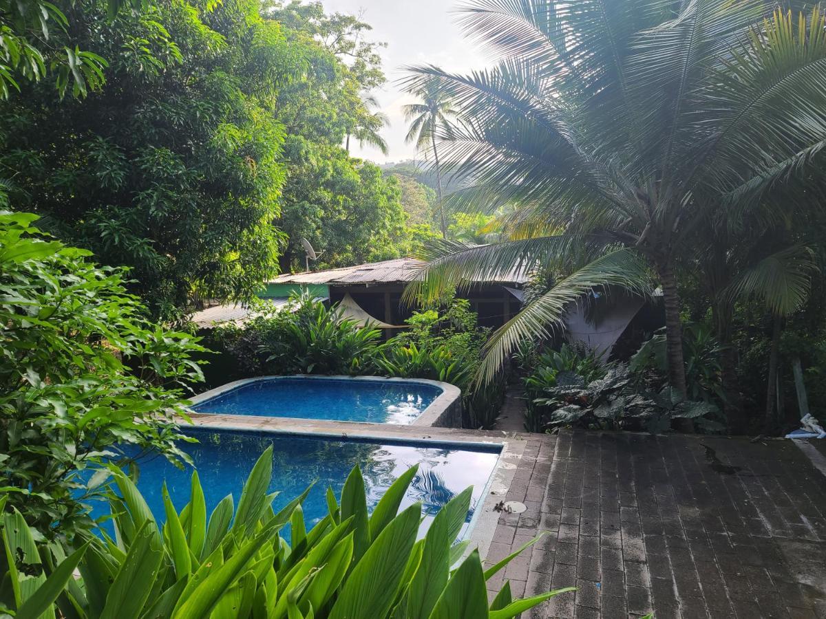 Хостел Hammock Plantation Ель-Зонте Екстер'єр фото